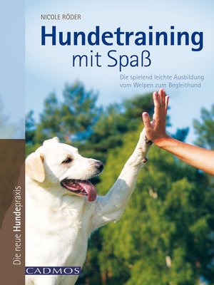 cover image of Hundetraining mit Spaß